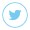 Twitter Icon